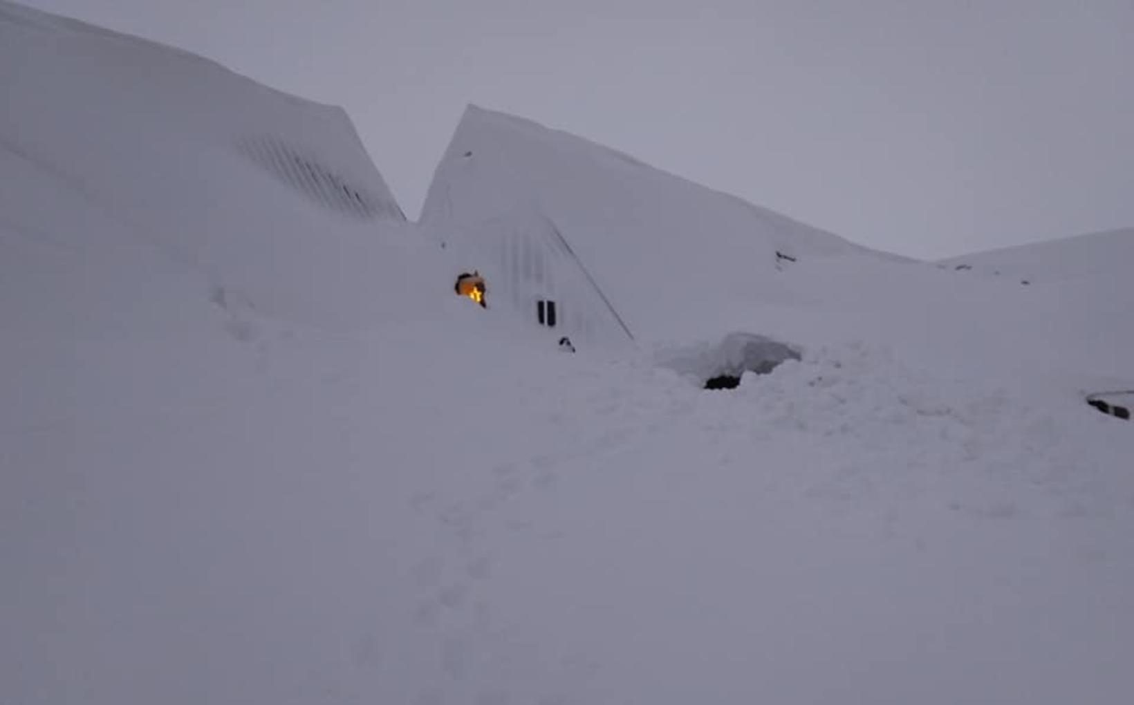 global warming is catching a cold1