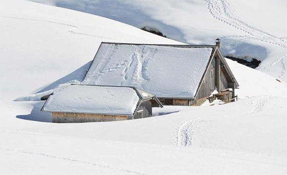 image 2022 01 04t12 05 15 775z