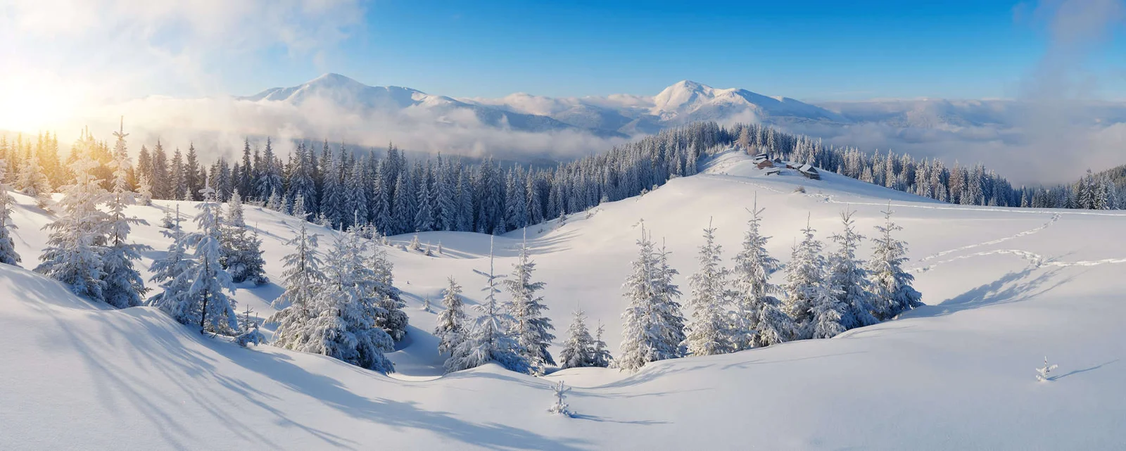 a snowy mountain landscape featuring trees blanketed in snow in fall.