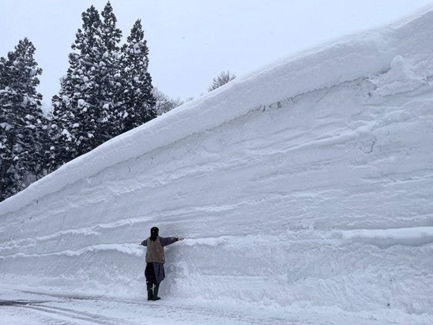 reality defies the doomsday climate narrative 1