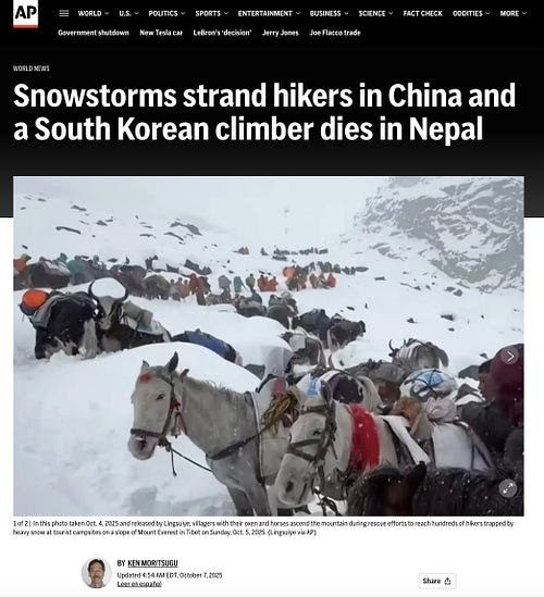 Screenshot of an AP News article showing people and horses trapped in deep snow during a mountain snowstorm in China and Nepal.