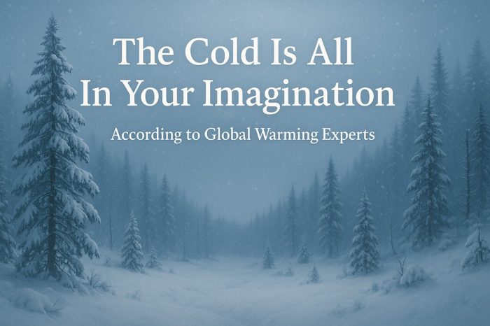 Snowy forest landscape with the text “The Cold Is All In Your Imagination – According to Global Warming Experts.”