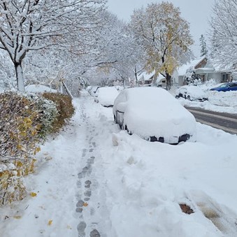 Street covered in deep snow with parked cars and trees blanketed after a winter storm.