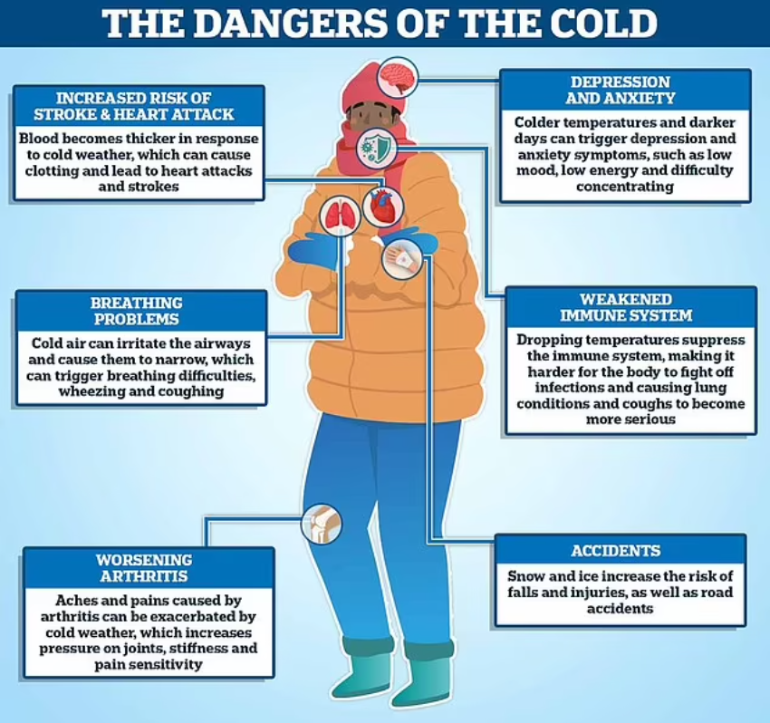 Illustrated infographic titled “The Dangers of the Cold,” showing a person in winter clothing with labeled health risks such as heart strain, breathing problems, weakened immunity, arthritis pain, and increased accident risk.