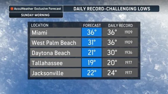 AccuWeather forecast graphic titled “Daily Record-Challenging Lows,” listing forecast low temperatures for several Florida cities compared with historical records.