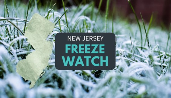 Image labeled “New Jersey Freeze Watch” over frosted grass background.