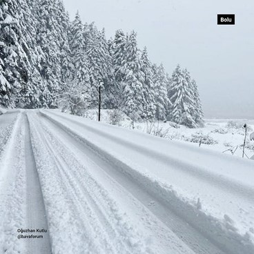 Snow-covered road and forest during heavy winter conditions