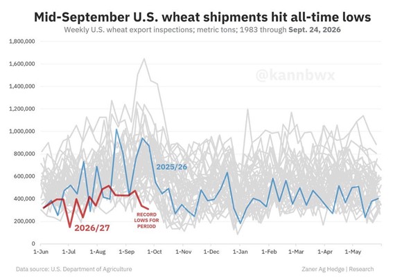 Chart showing U.S. wheat export inspections reaching record lows during part of the 2026/27 season.